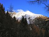 VALTELLINA - Alpe Colina - 175